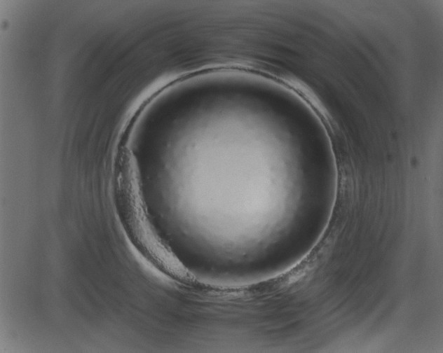 X0000082971143200702011352