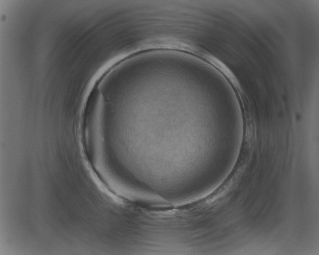 X0000082971144200702011352