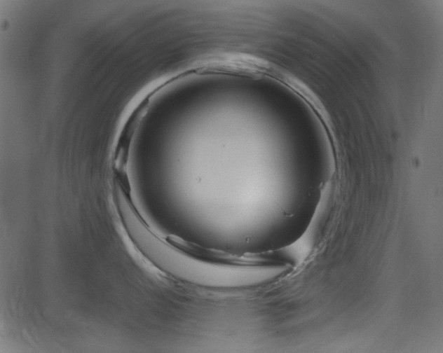 X0000082971152200702011352
