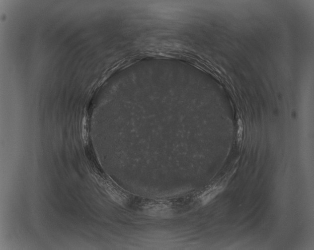 X0000082971156200702011351