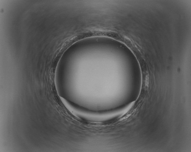 X0000082971157200702011351