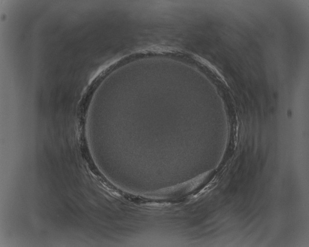 X0000082971160200702011351