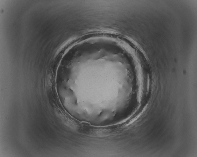 X0000082971163200702011351