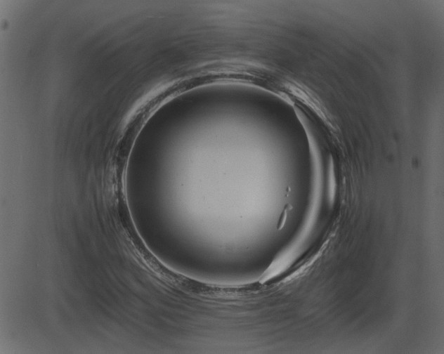 X0000082971164200702011351