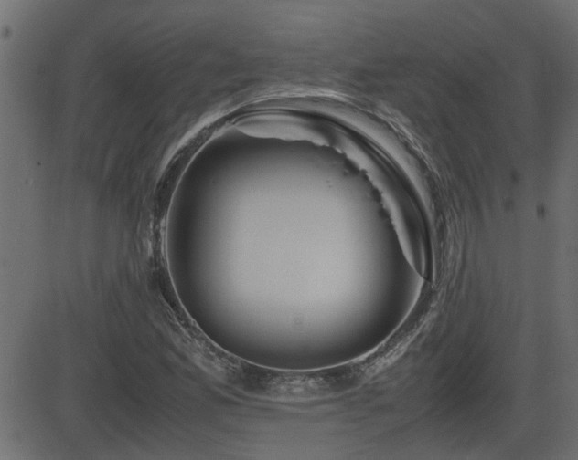 X0000082971165200702011351