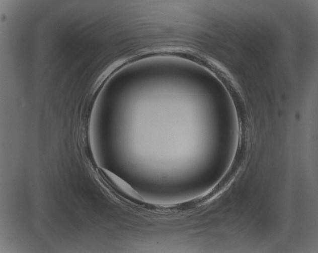 X0000082971177200702011350