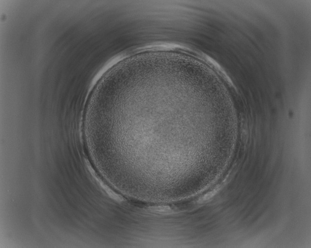 X0000082971186200702011350