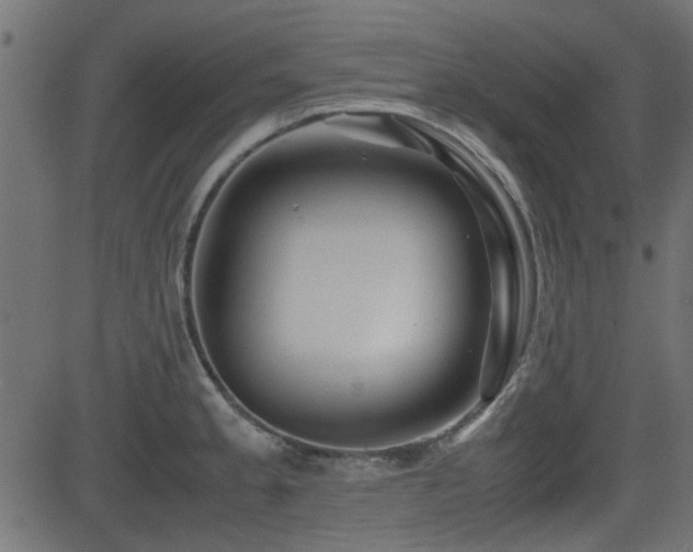 X0000082971189200702011350