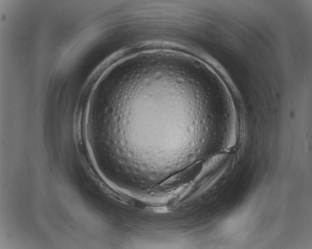 X0000082971199200702011350