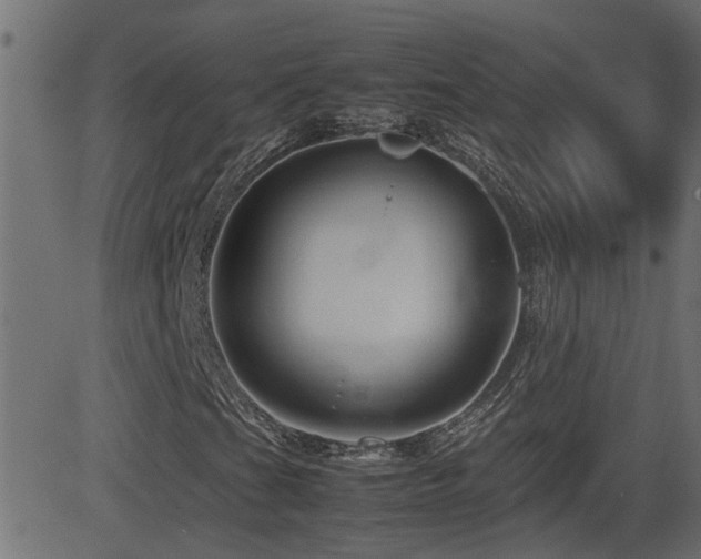 X0000082971201200702011349