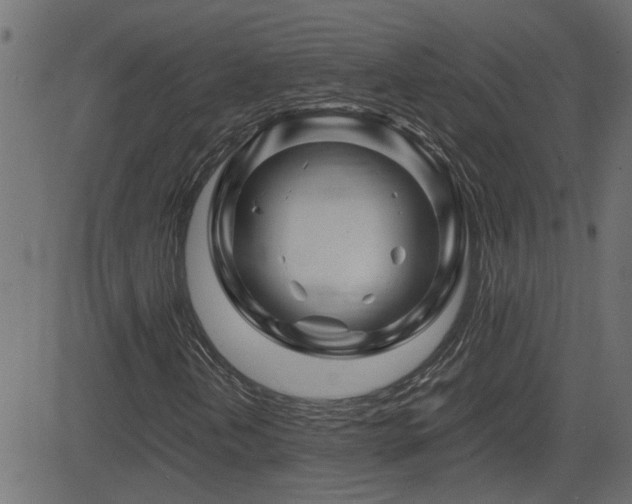 X0000082971202200702011349