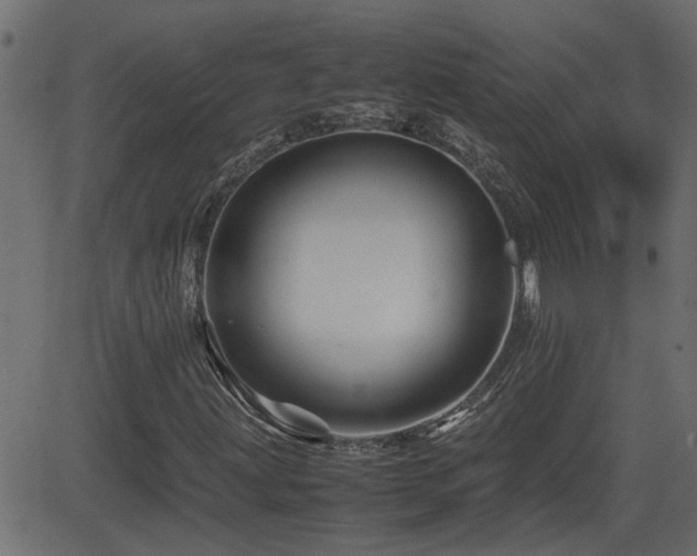 X0000082971203200702011349