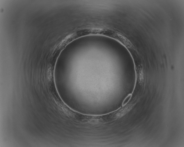 X0000082971204200702011349