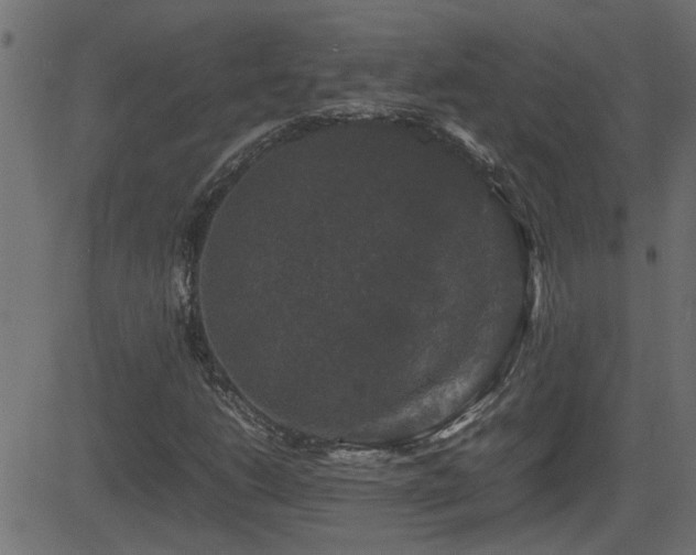 X0000082971206200702011349