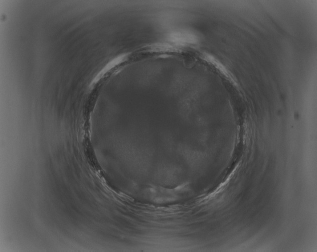 X0000082971213200702011350