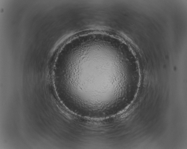 X0000082971215200702011350