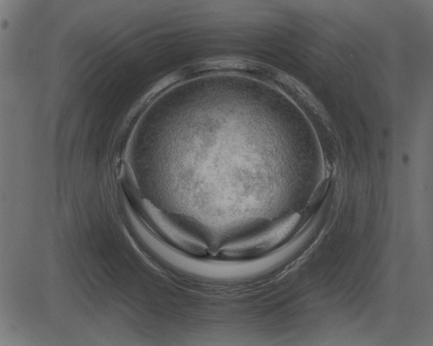 X0000082971225200702011350