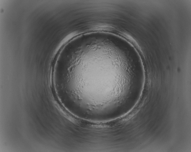 X0000082971227200702011350