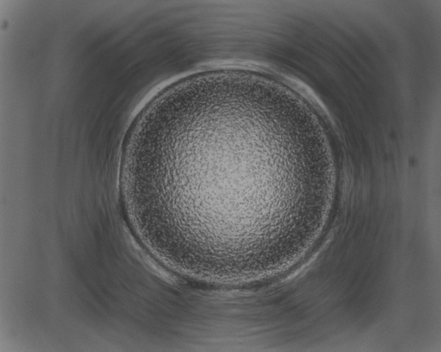 X0000082971228200702011350
