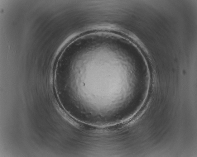 X0000082971232200702011350