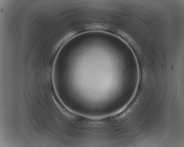 X0000082971233200702011350