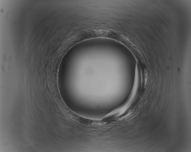 X0000082971249200702011349