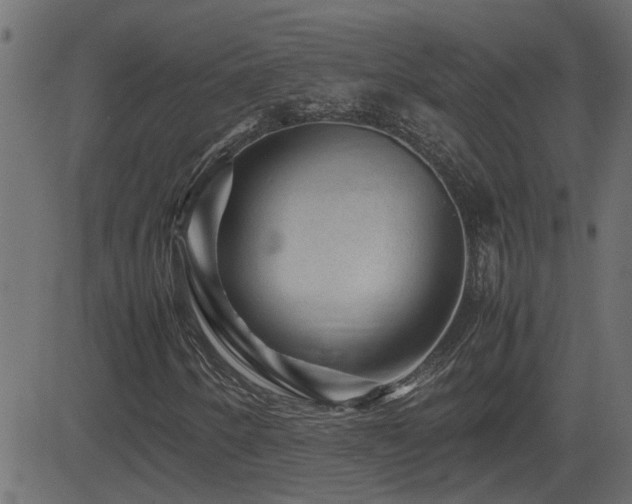 X0000082971250200702011349