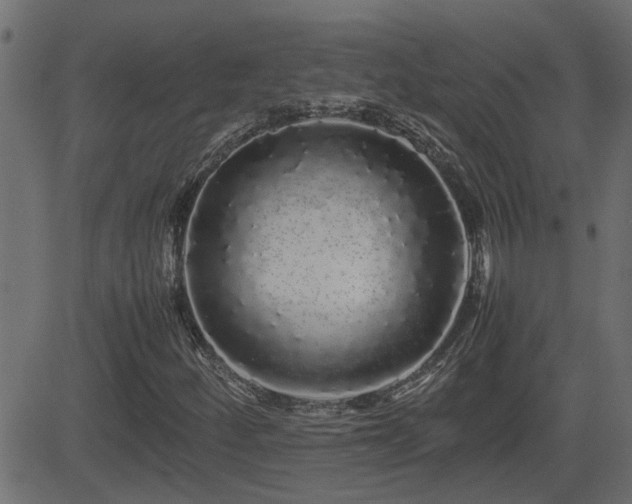 X0000082971252200702011349