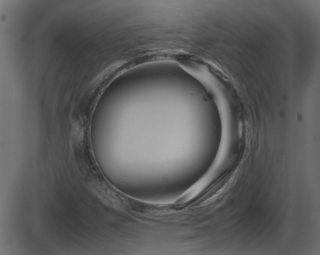 X0000082971257200702011349