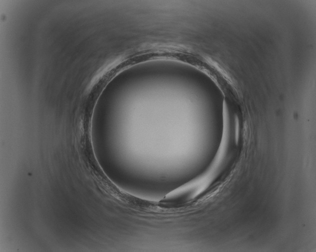 X0000082971261200702011349