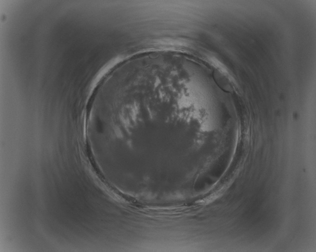 X0000082971275200702011349