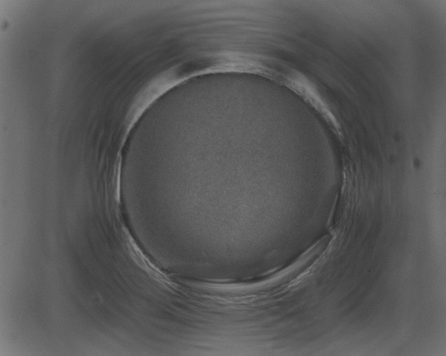 X0000082971276200702011349