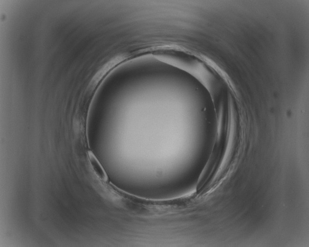 X0000082971281200702011349