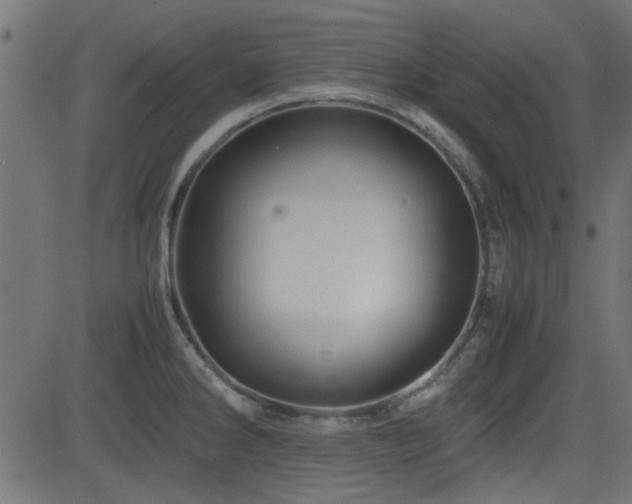 X0000082971286200702011349