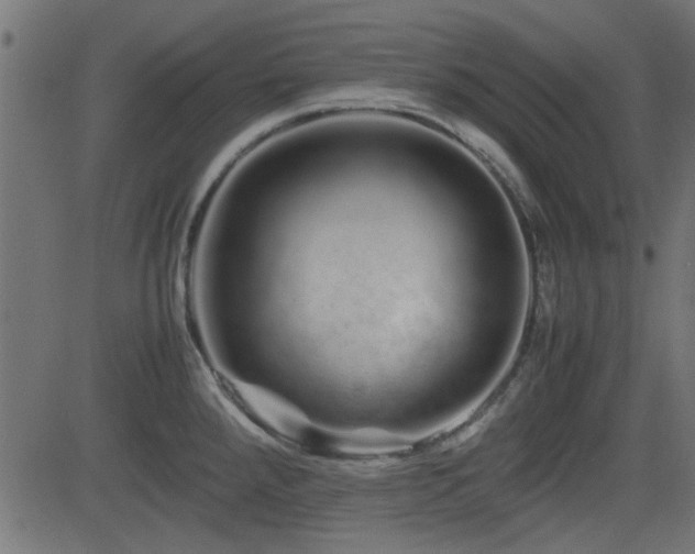 X0000082971288200702011349