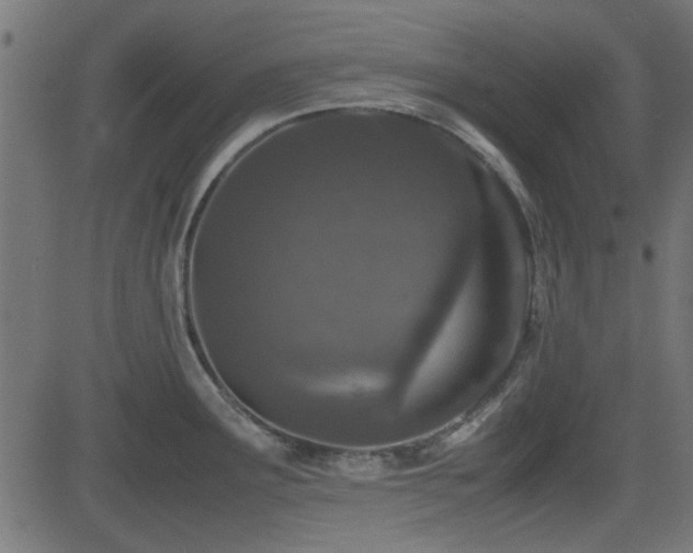 X0000082971291200702011349