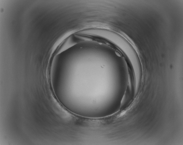 X0000082971293200702011349