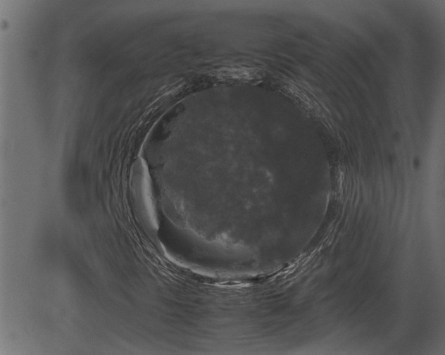 X0000082971297200702011348