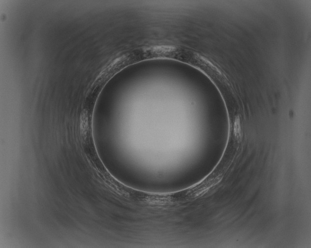 X0000082971299200702011348