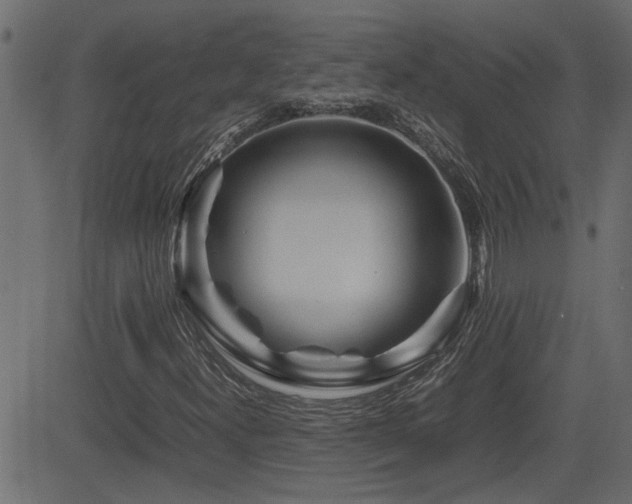 X0000082971300200702011348