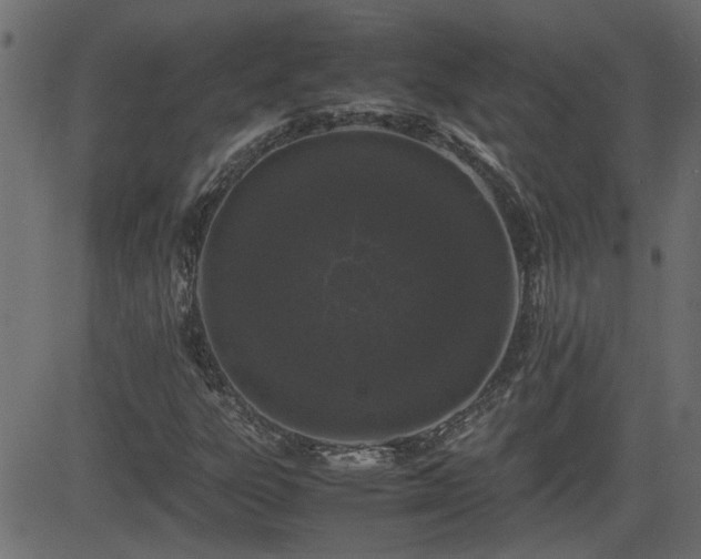 X0000082971303200702011348