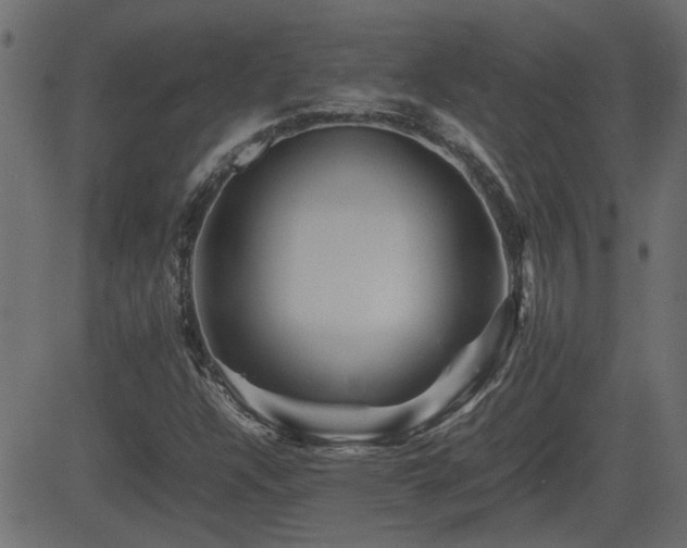 X0000082971304200702011348