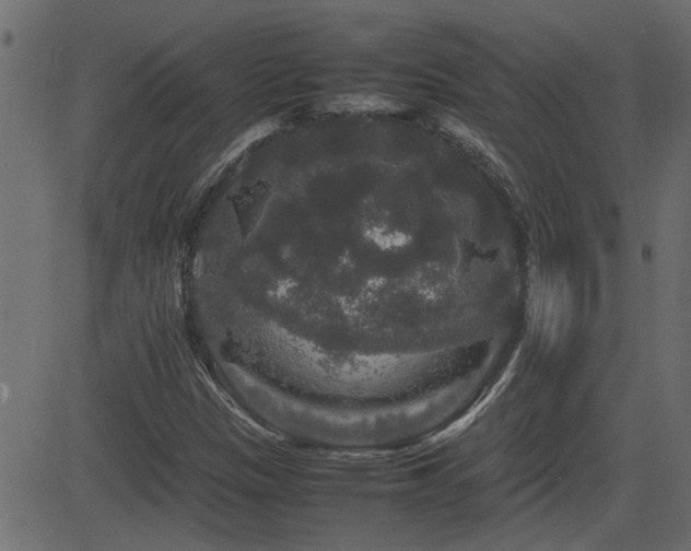 X0000082971305200702011348