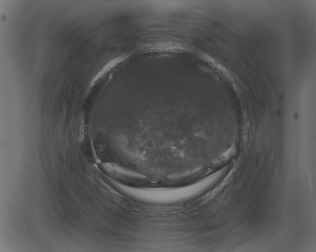 X0000082971306200702011348
