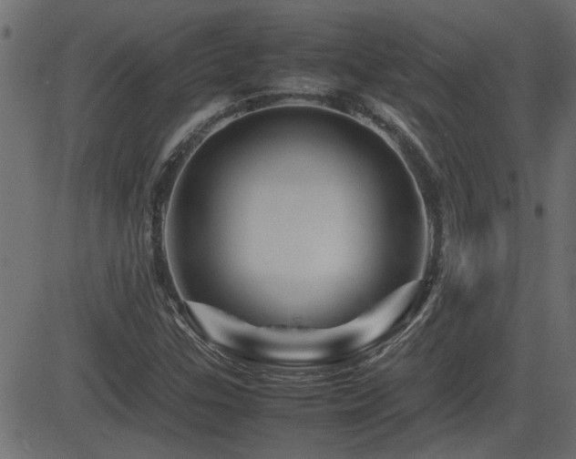 X0000082971307200702011348