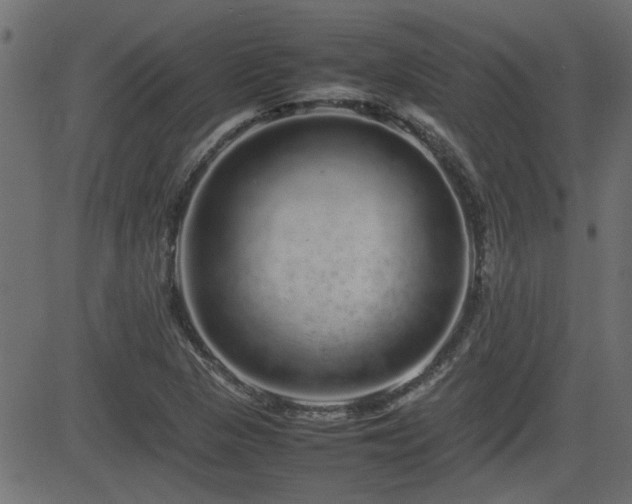 X0000082971313200702011348
