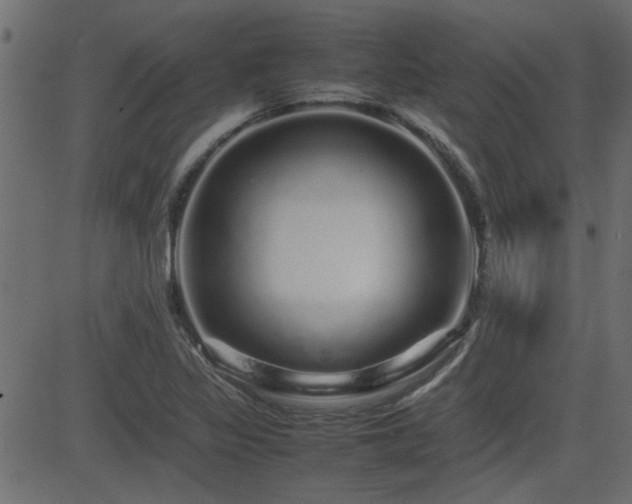 X0000082971317200702011348