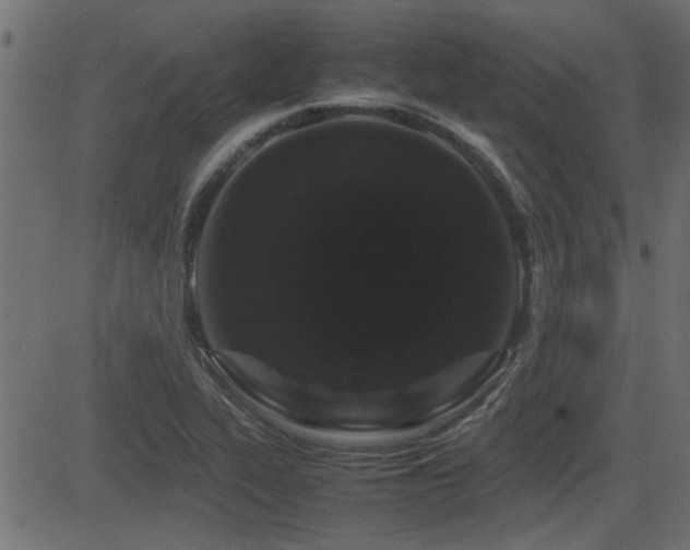 X0000082971319200702011348