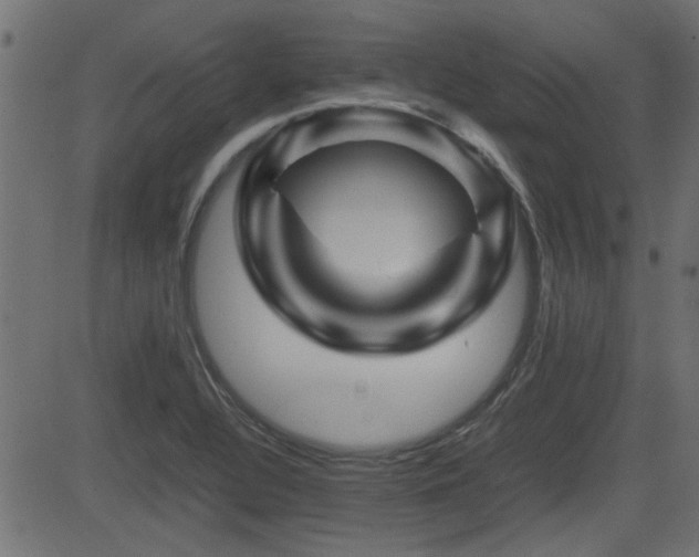 X0000082971320200702011348