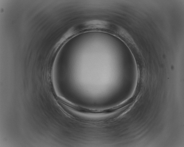 X0000082971321200702011348
